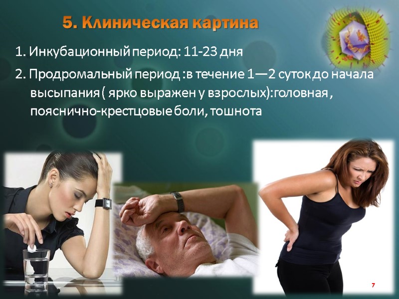 5. Клиническая картина 1. Инкубационный период: 11-23 дня 2. Продромальный период :в течение 1—2